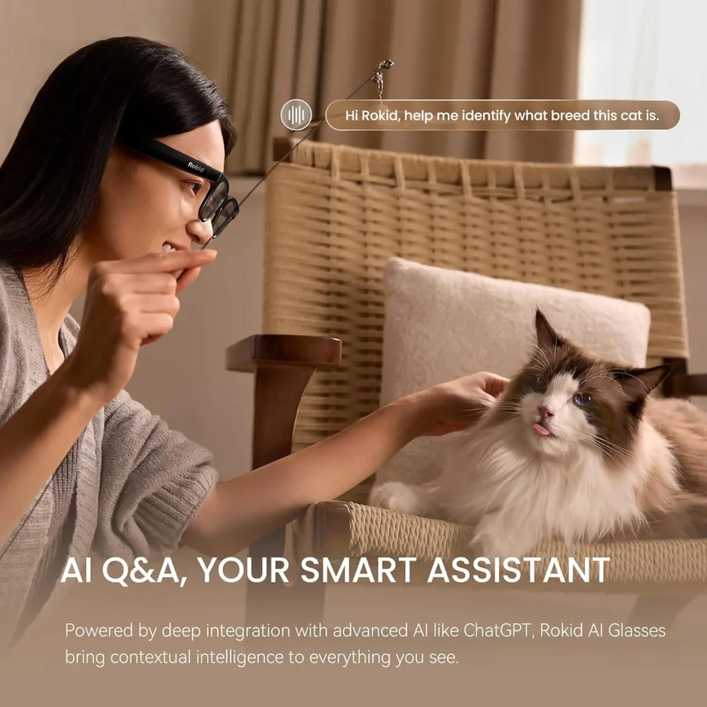 Rokid AI Glasses review